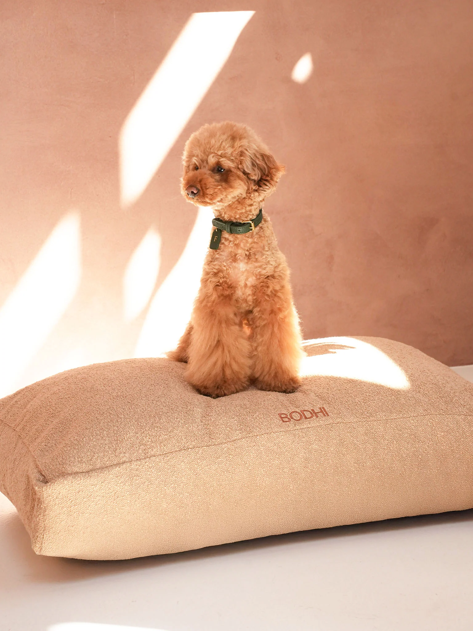 Miniatuur 2